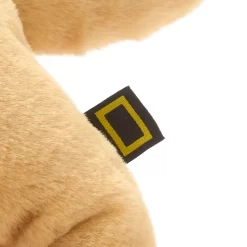 National Geographic Peluche Moyenne Lionceau 11 National Geographic Peluche Moyenne Lionceau -Disney 412303313129 4