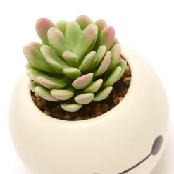 Disney Store Plante Artificielle En Pot Baymax, Les Nouveaux Héros 11 Disney Store Plante Artificielle En Pot Baymax, Les Nouveaux Héros -Disney 465043353962 4